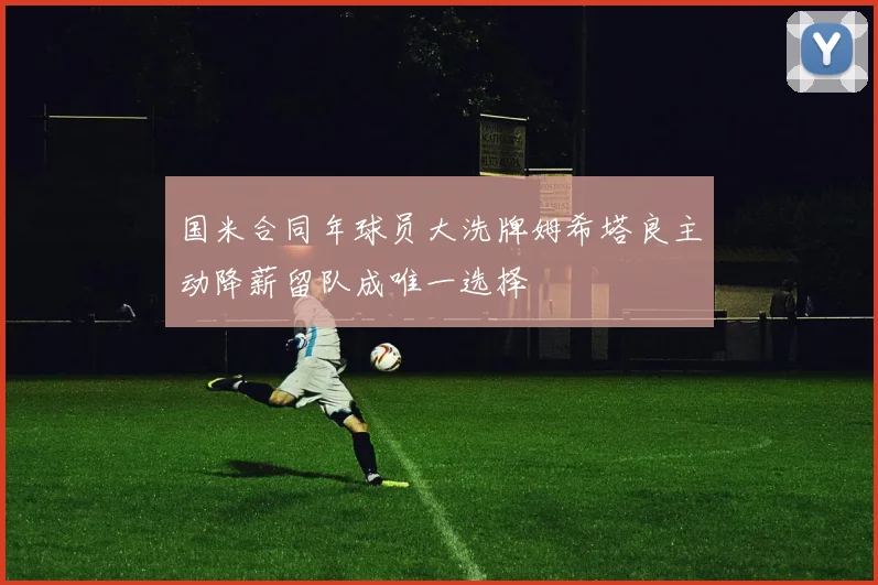国米合同年球员大洗牌姆希塔良主动降薪留队成唯一选择