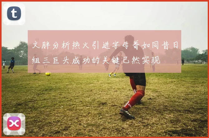 文胖分析热火引进字母哥如同昔日组三巨头成功的关键已然实现