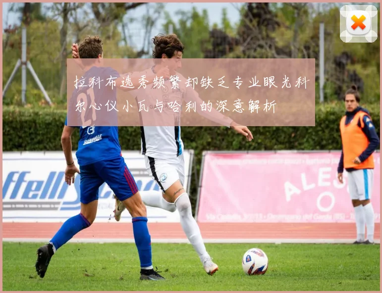 拉科布选秀频繁却缺乏专业眼光科尔心仪小瓦与哈利的深意解析