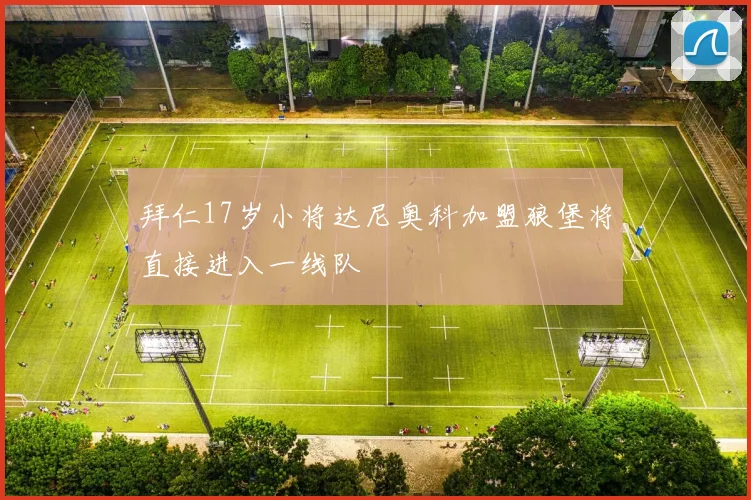 拜仁17岁小将达尼奥科加盟狼堡将直接进入一线队